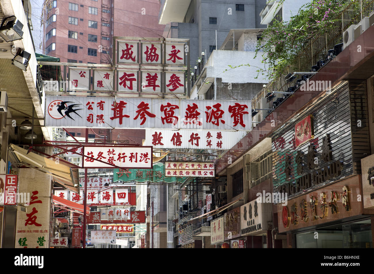 El ginseng y el Nido de Pájaro Street en Sheung Wan Hong Kong Foto de stock