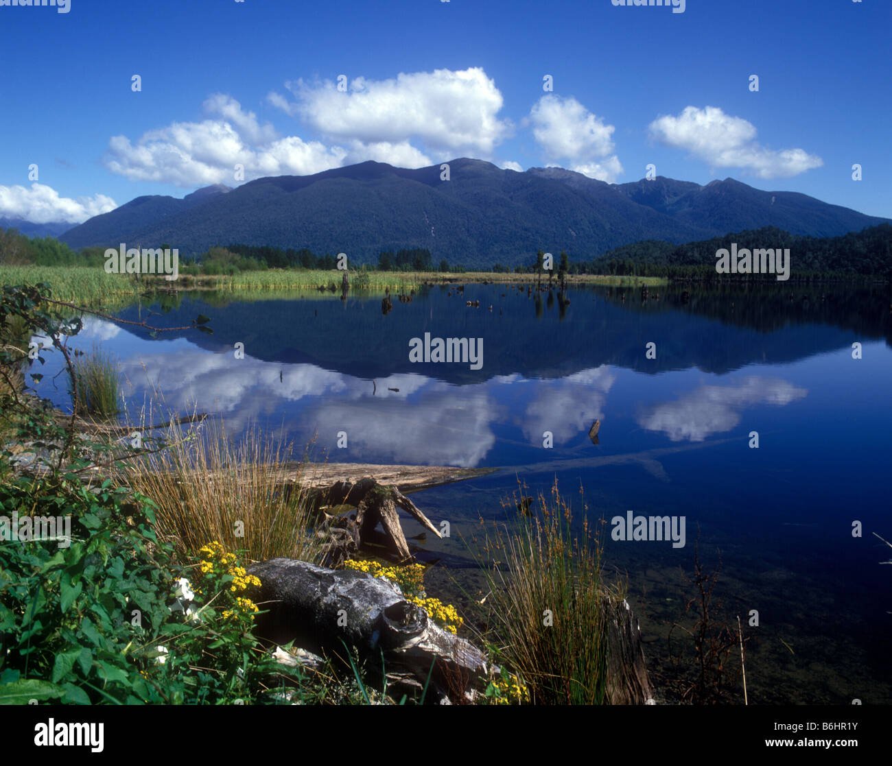 Bellos reflejos en el lago Poerua, un lago poco profundo en la región de la costa oeste de la Isla Sur Foto de stock