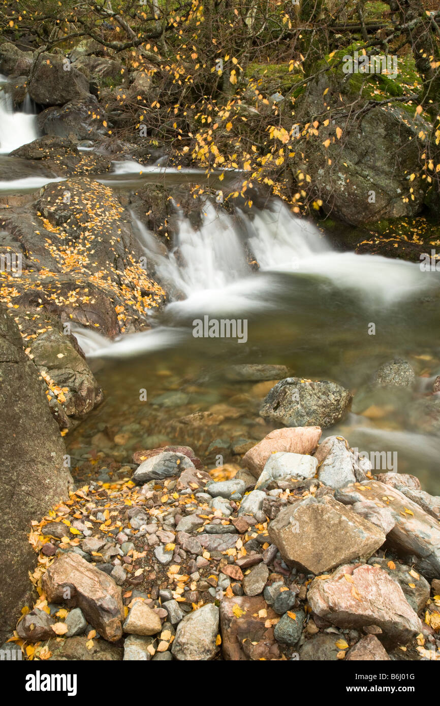 Dungeon Ghyll fuerza ruedan sobre rocas en el otoño Gran Langdale Valley Lake District Cumbria Reino Unido Foto de stock