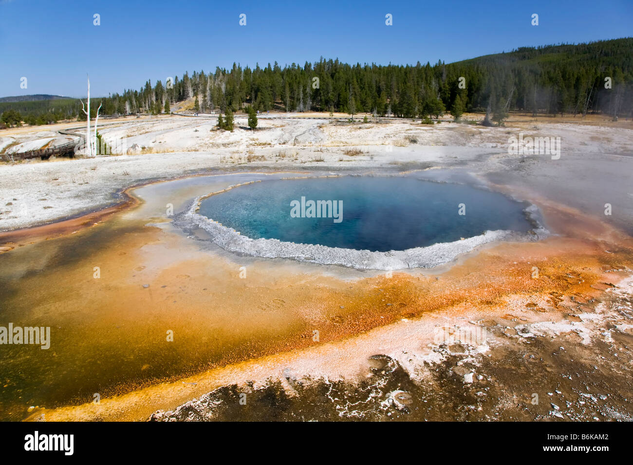 Cresta de la piscina Foto de stock