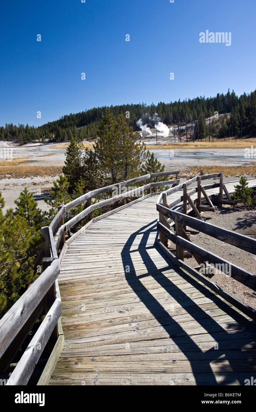 Paseo en la cuenca de porcelana, el Parque Nacional Yellowstone, Wyoming, EE.UU.; Foto de stock