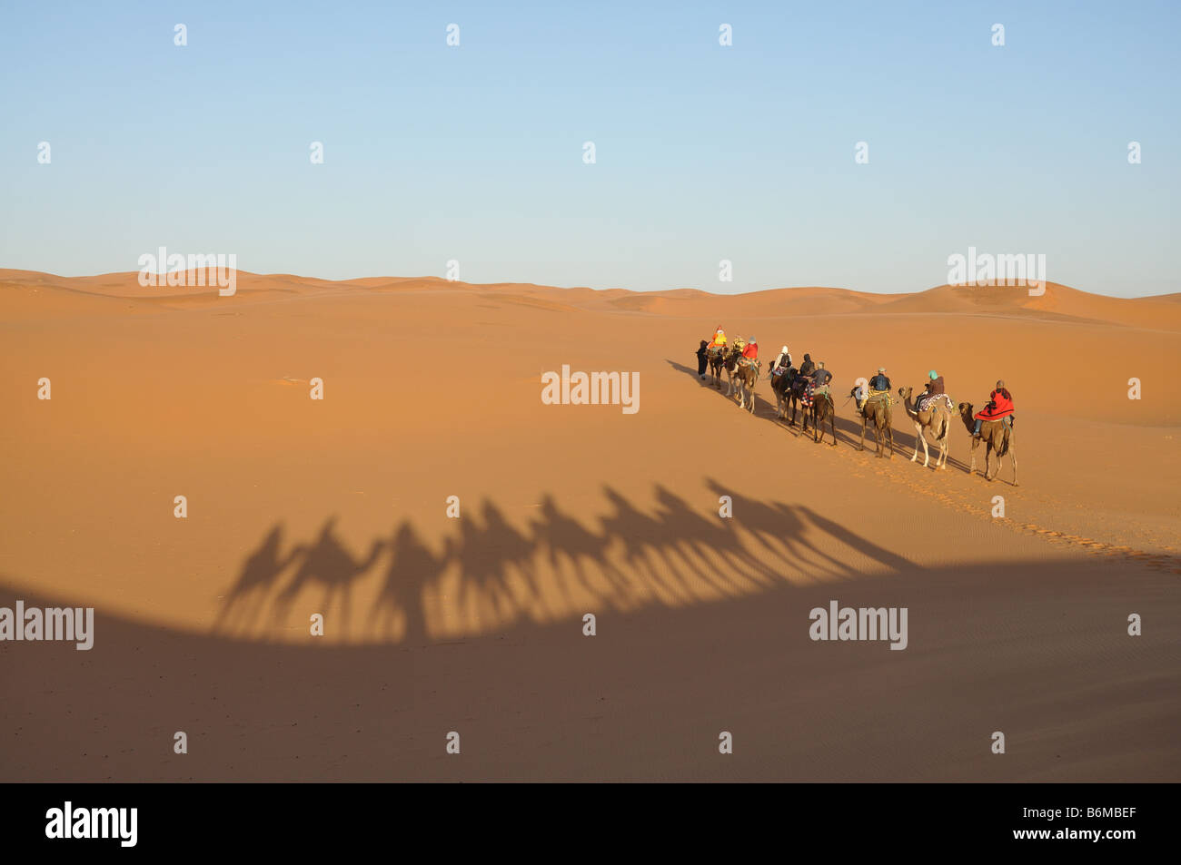 Viaje en camello en el desierto de Sahara Merzouga, Marruecos, Norte de África Foto de stock