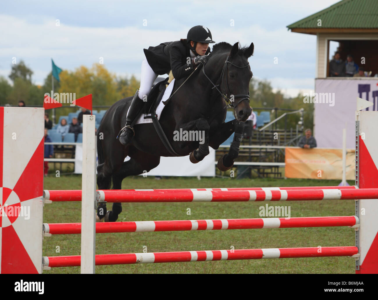 Foto de Equitação Cavalo Pulando Sobre Obstáculo e mais fotos de stock de  Concurso de Saltos Equestres - Concurso de Saltos Equestres, 2015, Animal -  iStock