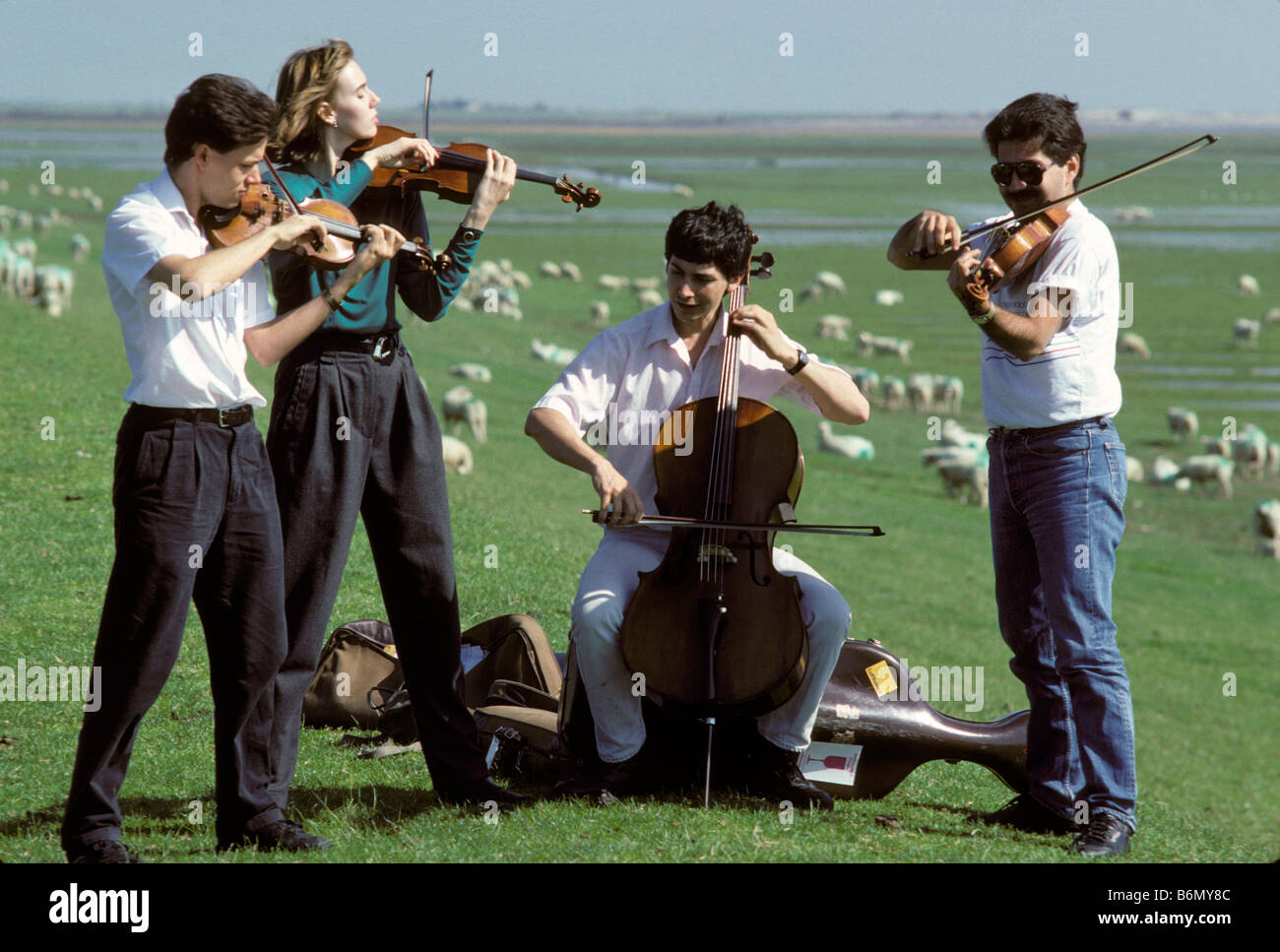 Cuarteto De Cuerda Fotos E Imagenes De Stock Alamy