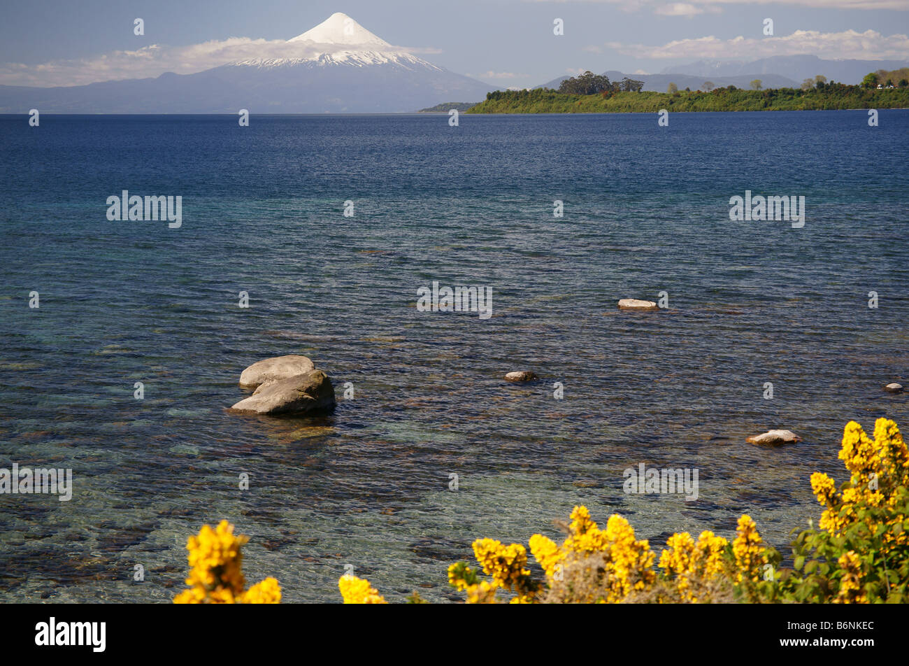 Volcán Osorno desde Puerto Varas en el Lago Llanquihue y retamas en el de primer plano Foto de stock