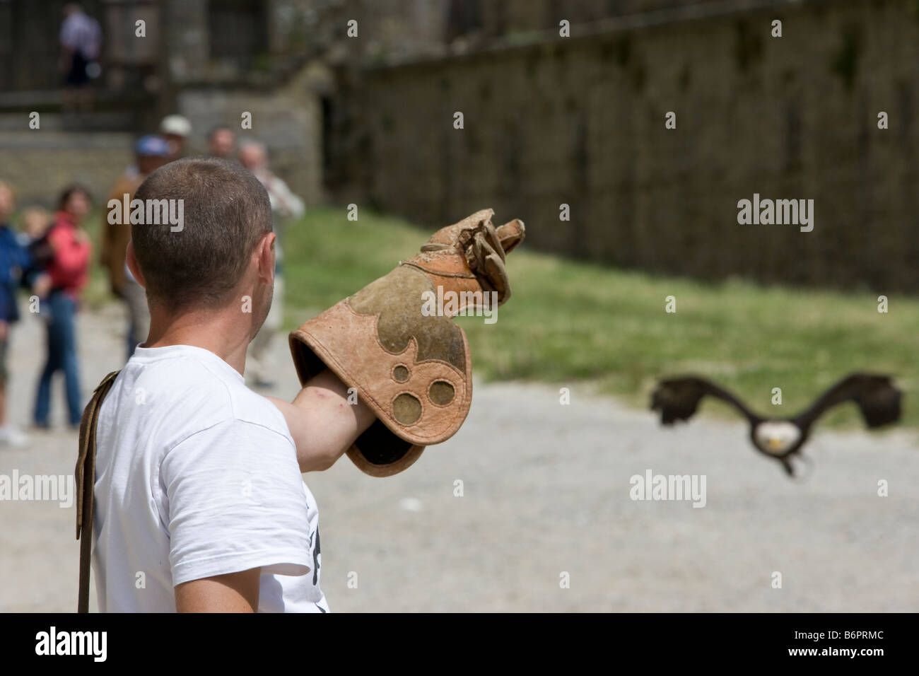 Un águila y el pájaro handler practicando para juegos medieval de Carcassonne Francia Foto de stock