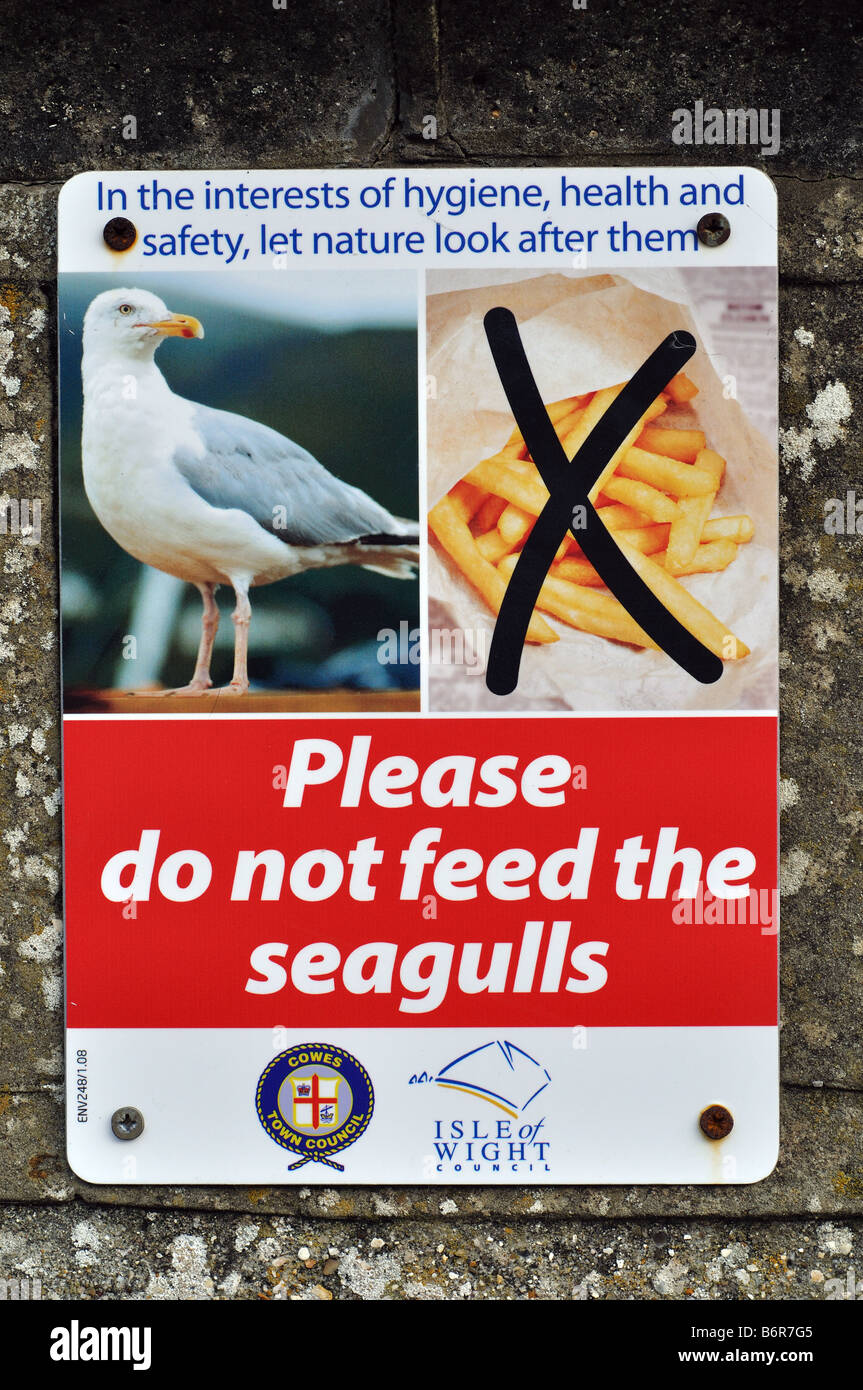 Señal no alimente a las gaviotas, Cowes, Isle of Wight, Inglaterra, Reino Unido, GB. Foto de stock