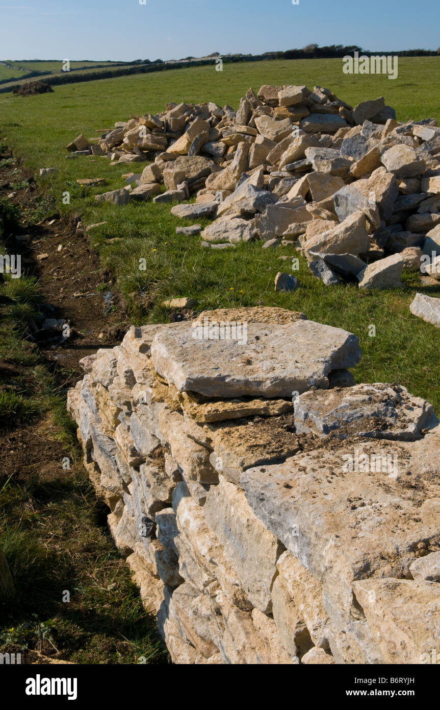Nuevo muro de piedra seca purbeck Foto de stock