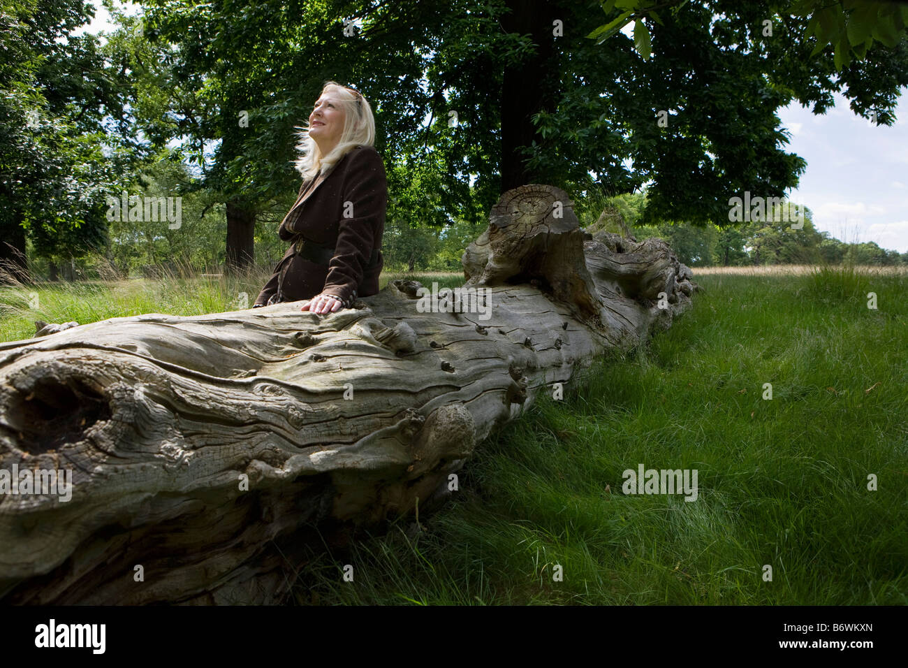 Mujer sentada sobre un árbol muerto Foto de stock
