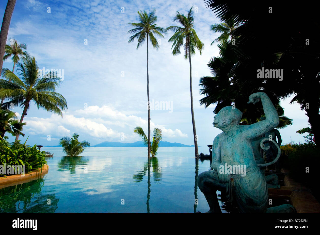 Infinety descubierta en la isla de Koh Samui, Tailandia Foto de stock