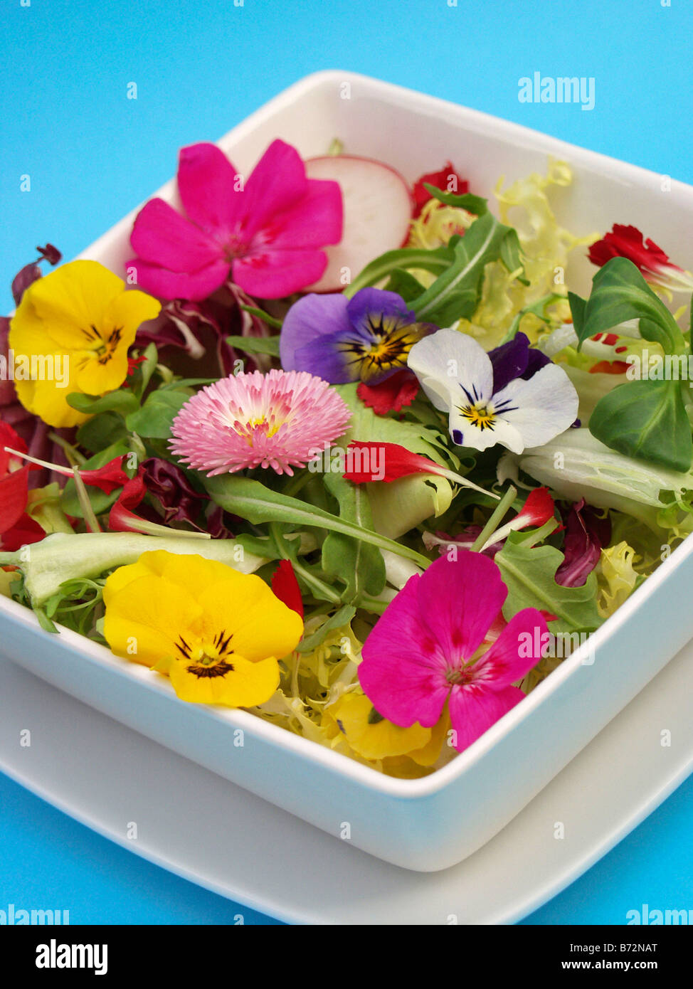 Receta de ensalada con flores comestibles disponibles Fotografía de stock - Alamy Receta de ensalada con flores comestibles disponibles Fotografía de stock - Alamy