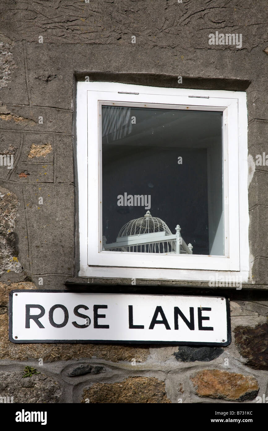 Rose Lane St Ives cornwall Foto de stock
