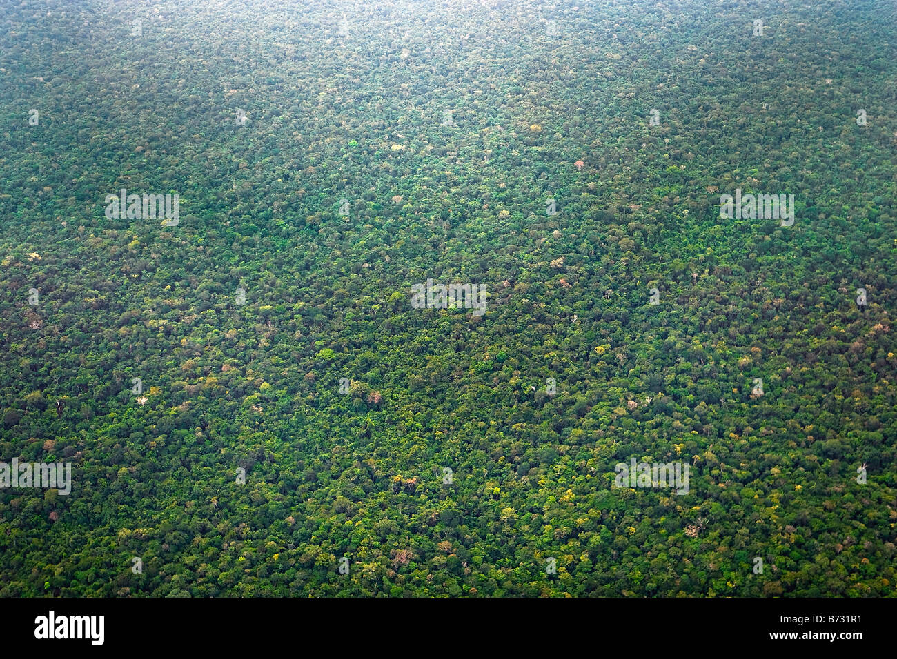 Suriname, Laduani, en el banco de la Boven río Surinam. Antena del bosque. Foto de stock