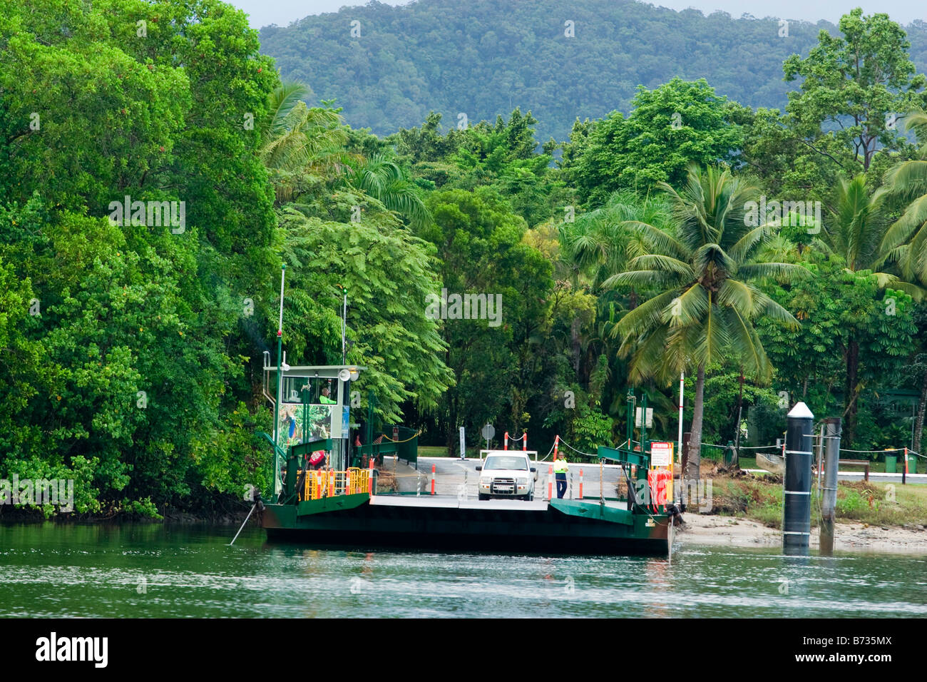 El Río Daintree ferry es el único camino en la lista de Patrimonio Mundial Parque Nacional Daintree, Queensland, Australia Foto de stock