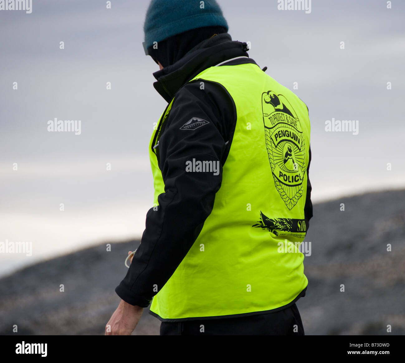 En patrullas de policía de pingüinos en la Antártica Foto de stock