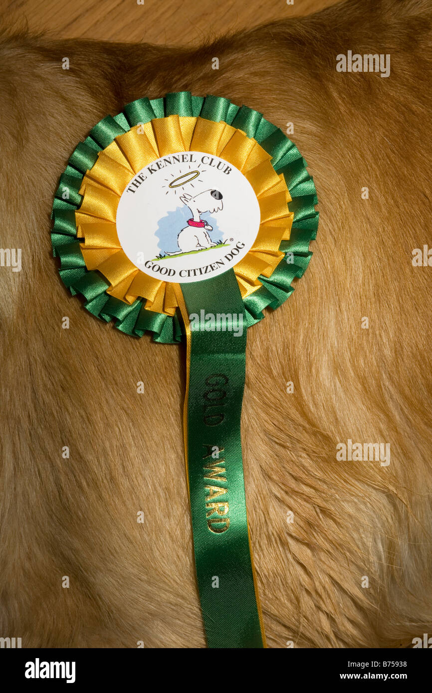 Kennel club top gold award