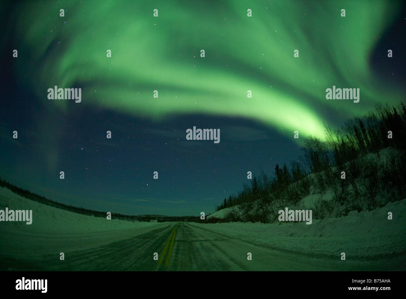 Aurora Borealis convierte el Ingraham Trail fuera de Yellowknife, Territorios del Noroeste, Canadá, en un dramático espectáculo de luces Foto de stock