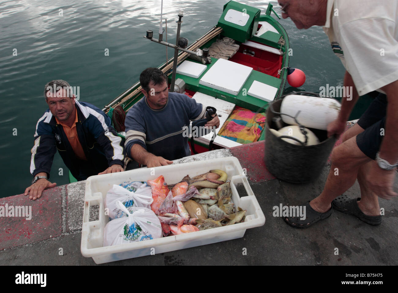 La descarga de una jaula de coloridos peces mezclados en el banquillo de los acusados en Los Cristianos Tenerife Islas Canarias Foto de stock