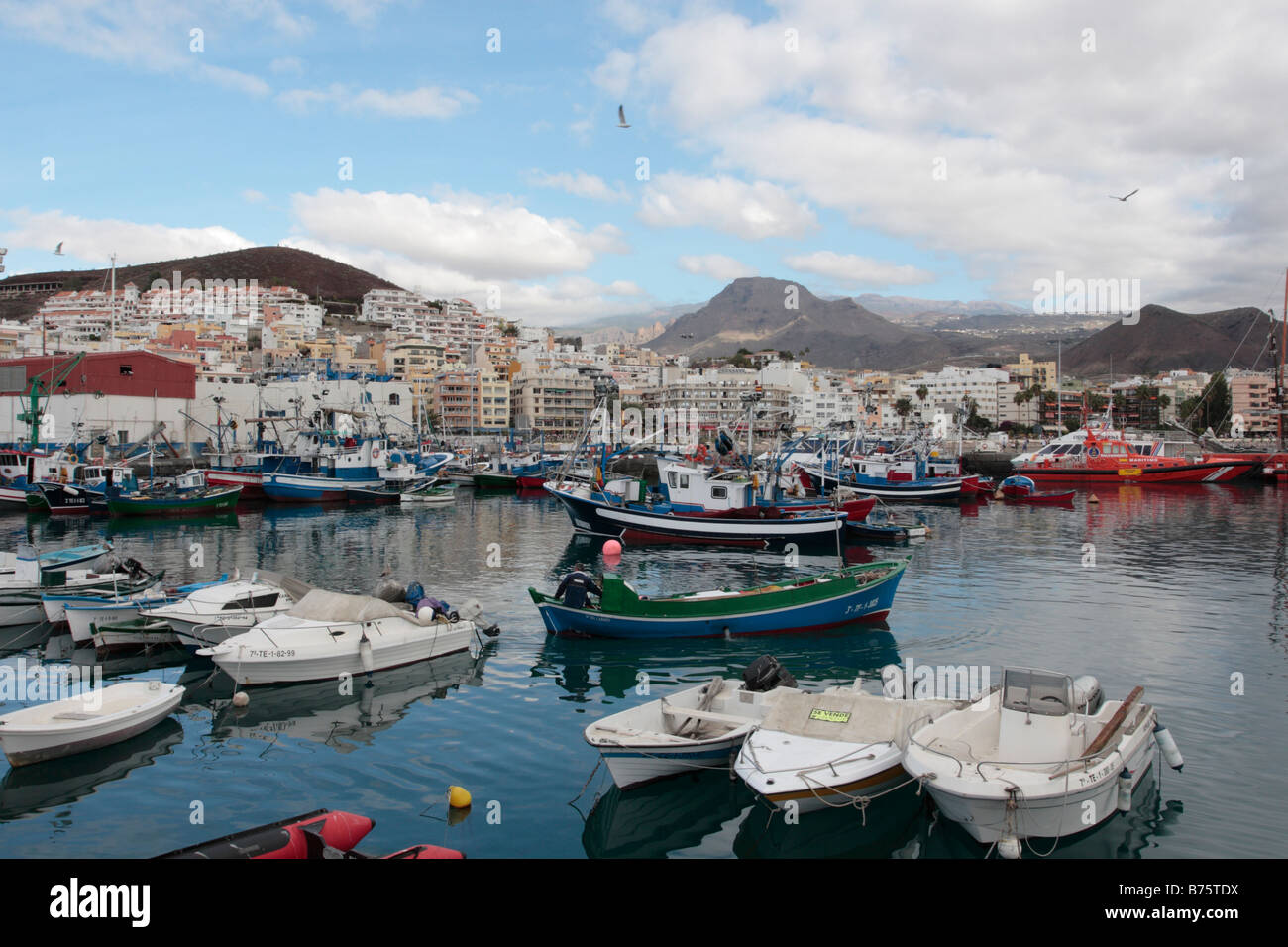 Los barcos de pesca en el puerto Los Cristianos Tenerife Islas Canarias Foto de stock
