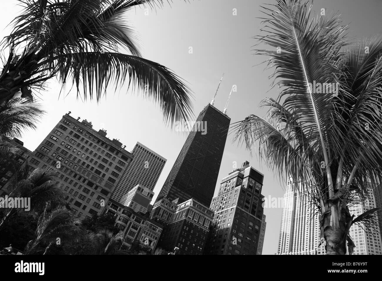Las palmeras en la playa de Oak Street Gold Coast de Chicago, Illinois, EE.UU. Foto de stock
