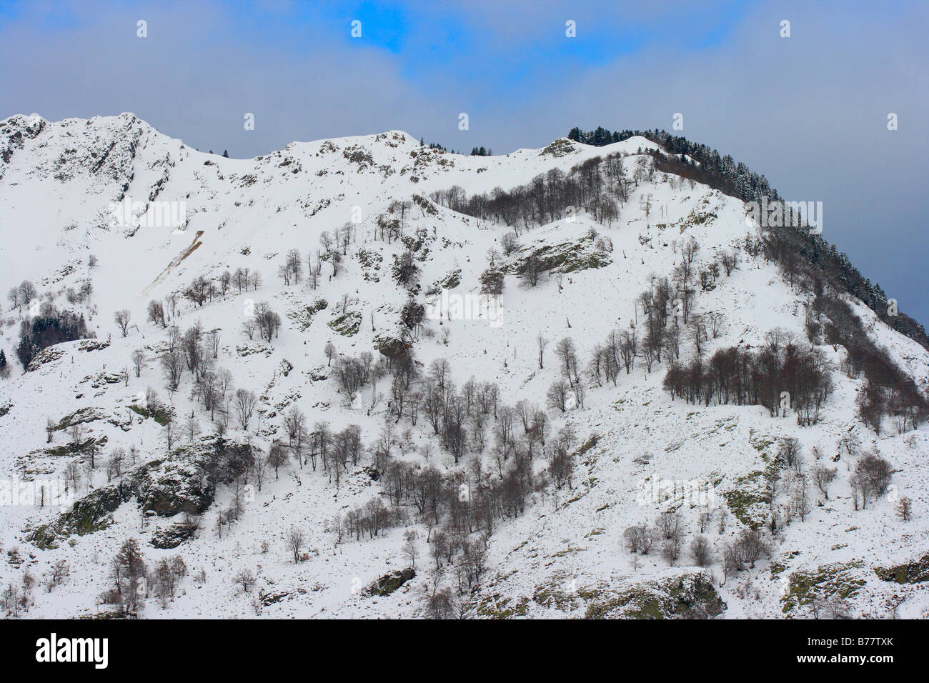 Montañas cubiertas de nieve con árboles de hoja caduca. El Valle de Arán. Provincia de Lleida. Pirineos. España Foto de stock