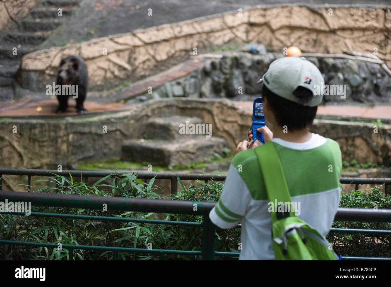 Los jóvenes japoneses niño tomando la imagen de oso en el zoo de Tokio utilizando su teléfono celular Foto de stock