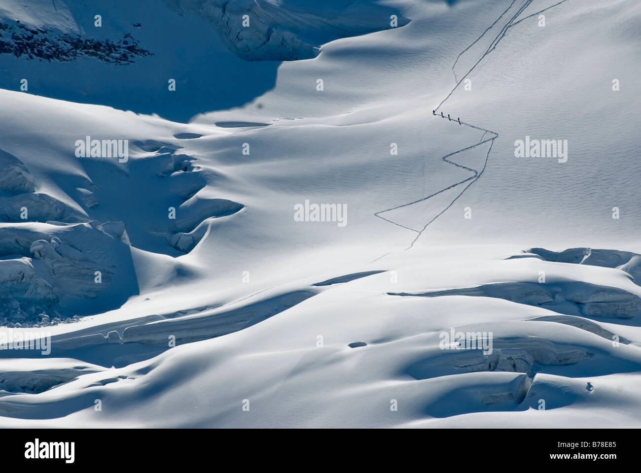 Progresión de las cordadas subiendo los glaciares ladera del monte Piz Palue, 3900 m, Bernina Gama, Buendner Alpes, Cantón de Graub Foto de stock