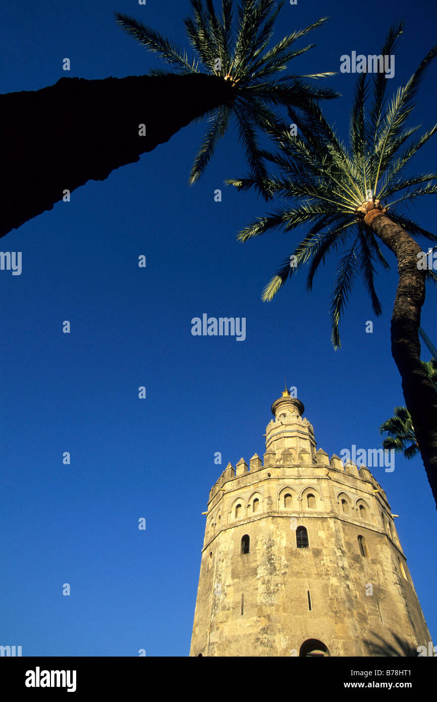 Torre del Oro Torre del Oro medieval, entre palmeras, hoy en día un museo de la navegación y el transporte marítimo, Sevilla, Andalucía Foto de stock