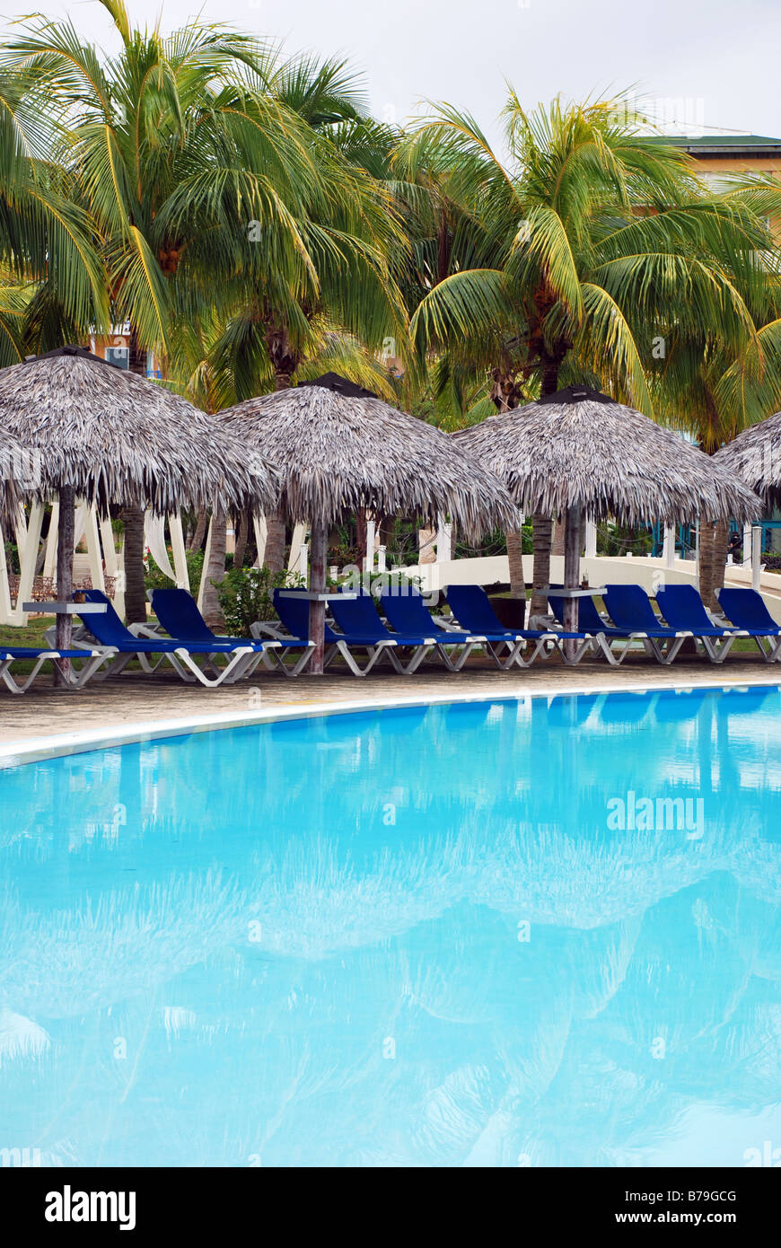 Piscina tropical con palmeras de coco del reflejo en el agua Foto de stock