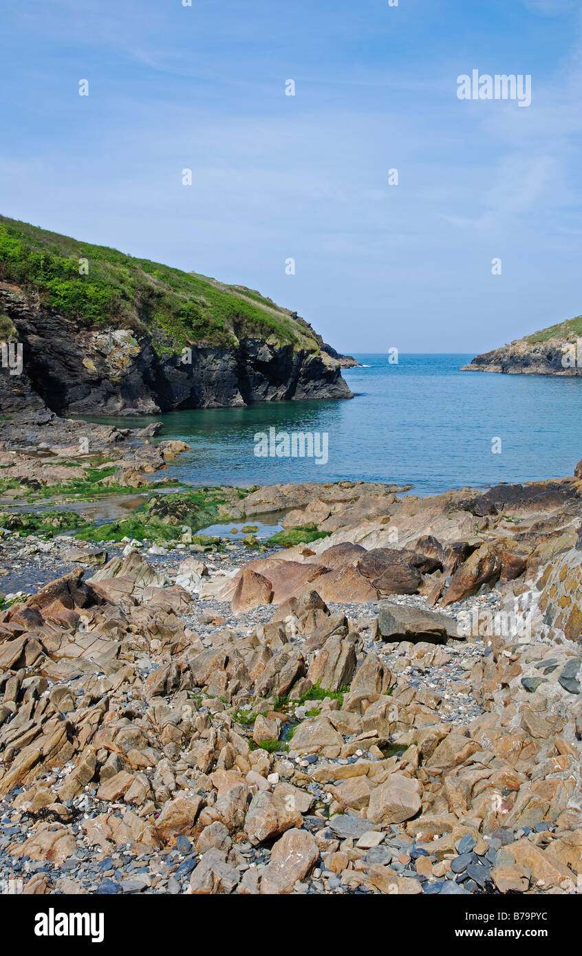La playa rocosa en puerto quin en el norte de Cornwall, Inglaterra, Reino Unido Foto de stock