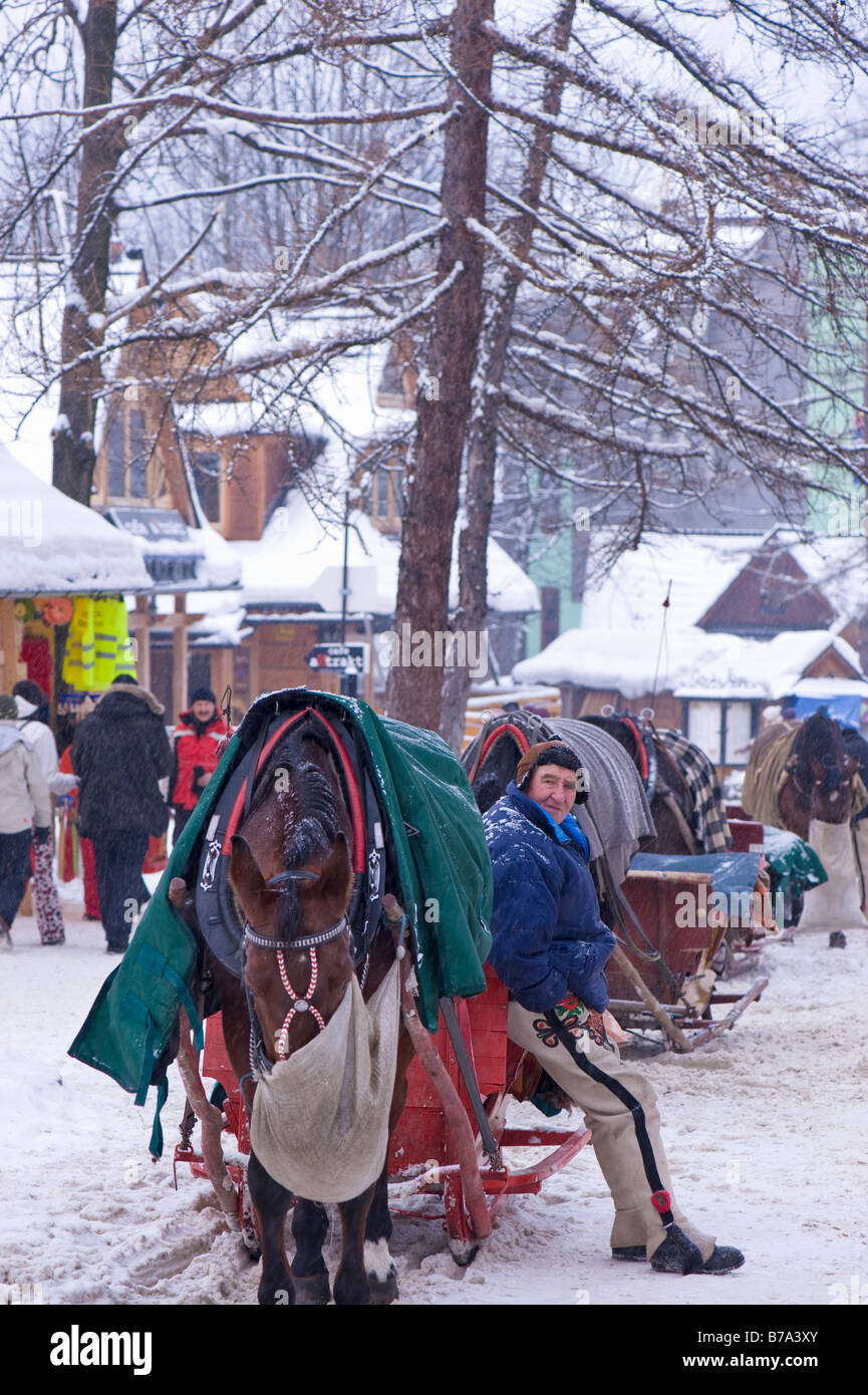Trineo de caballos esperando clientes en la calle Krupowki región de Podhale montañas Tatra Zakopane Polonia Foto de stock