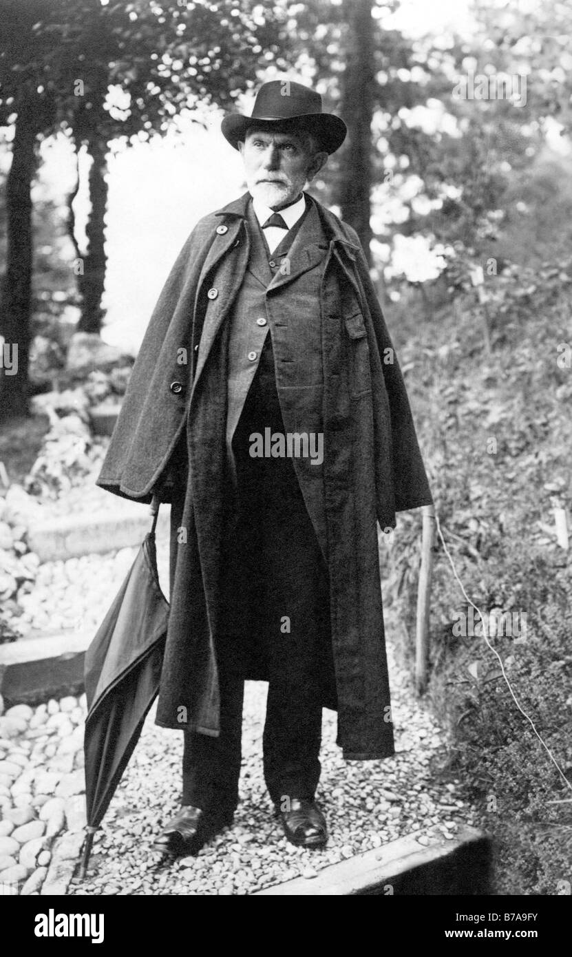 Foto histórica, August Bebel, co-fundador del partido socialdemócrata alemán, social demócrata Foto de stock