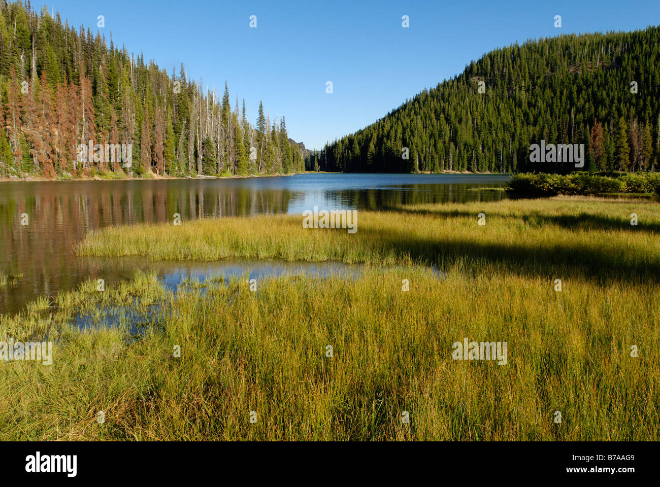 El Lago Devils, Cascade Lakes National Scenic desviación, Cascade Range, Oregón, EE.UU. Foto de stock