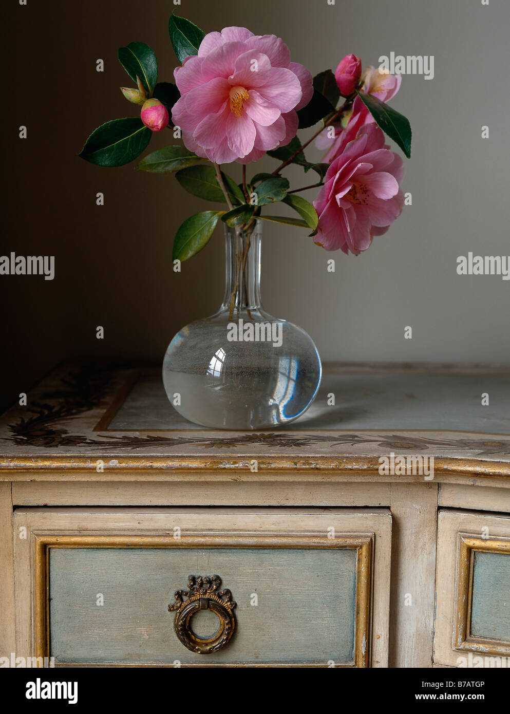 La vida de las flores rosadas camelias en un jarrón de cristal, en un antiguo escritorio Foto de stock