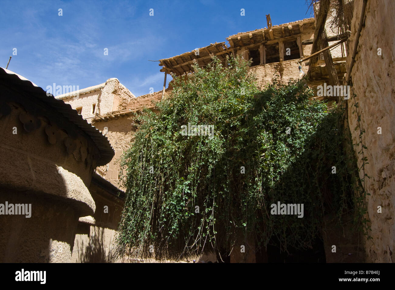 La Zarza Ardiente en St Katherine monasterio en la península del Sinaí en Egipto Foto de stock