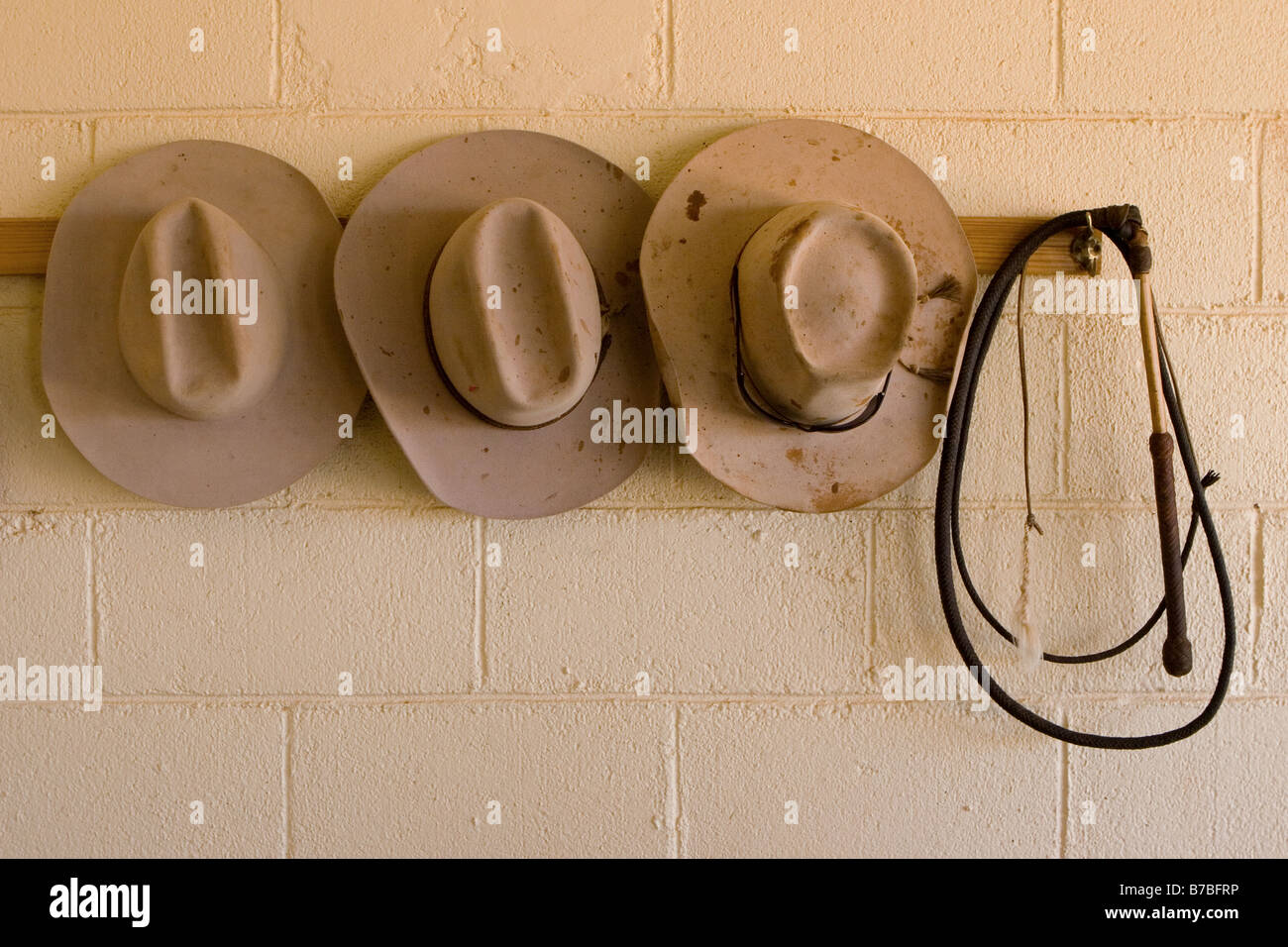 Tres vaquero o criadores porcinos sombreros y látigo colgando en la pared Foto de stock