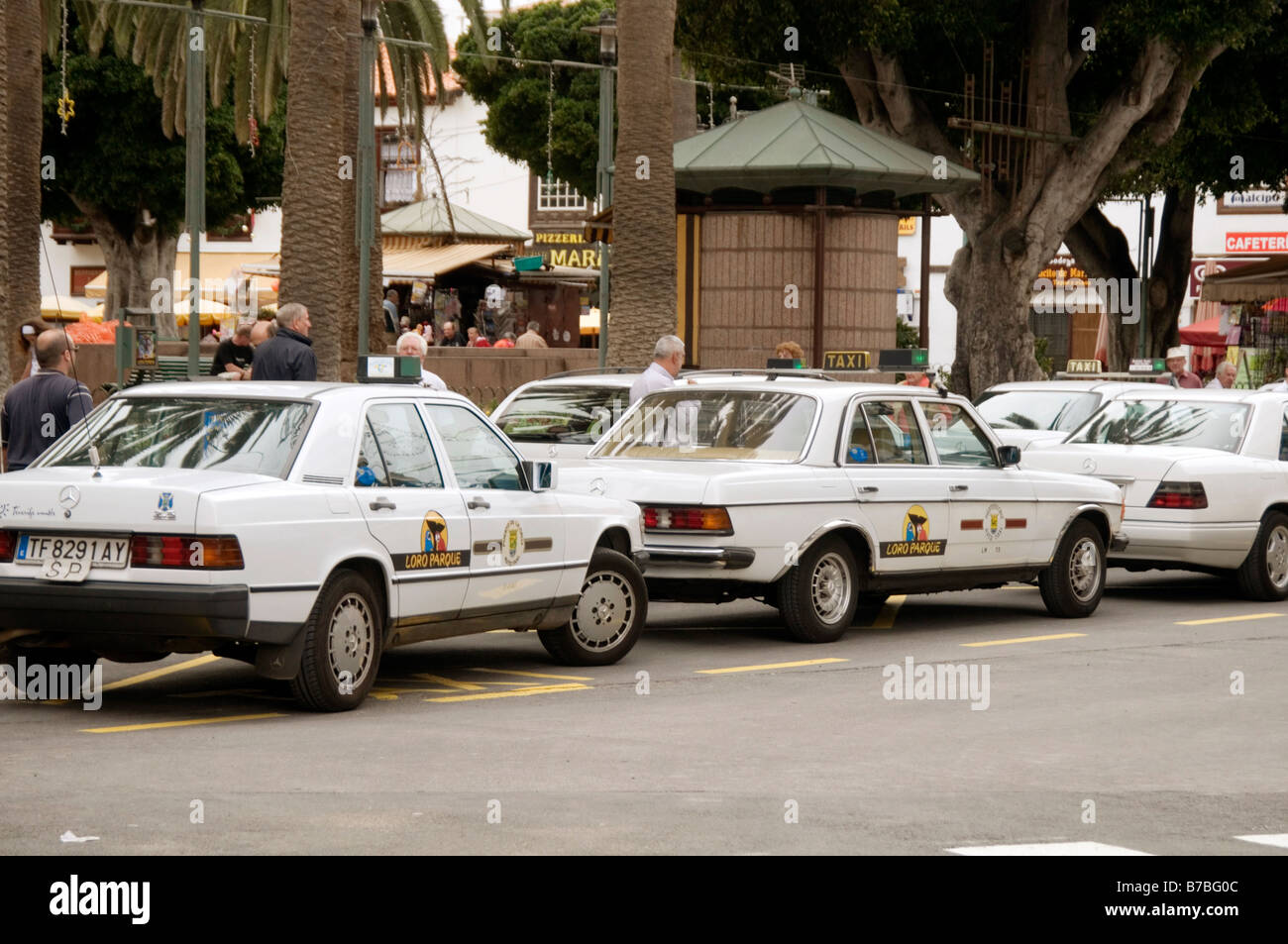 Taxi Taxi Mercedes Benz Coche Coches Alemanes De Lujo En Tenerife