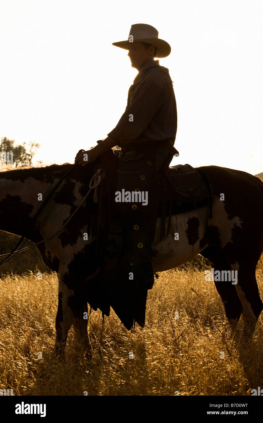 Un vaquero sentado en un caballo en el atardecer Foto de stock