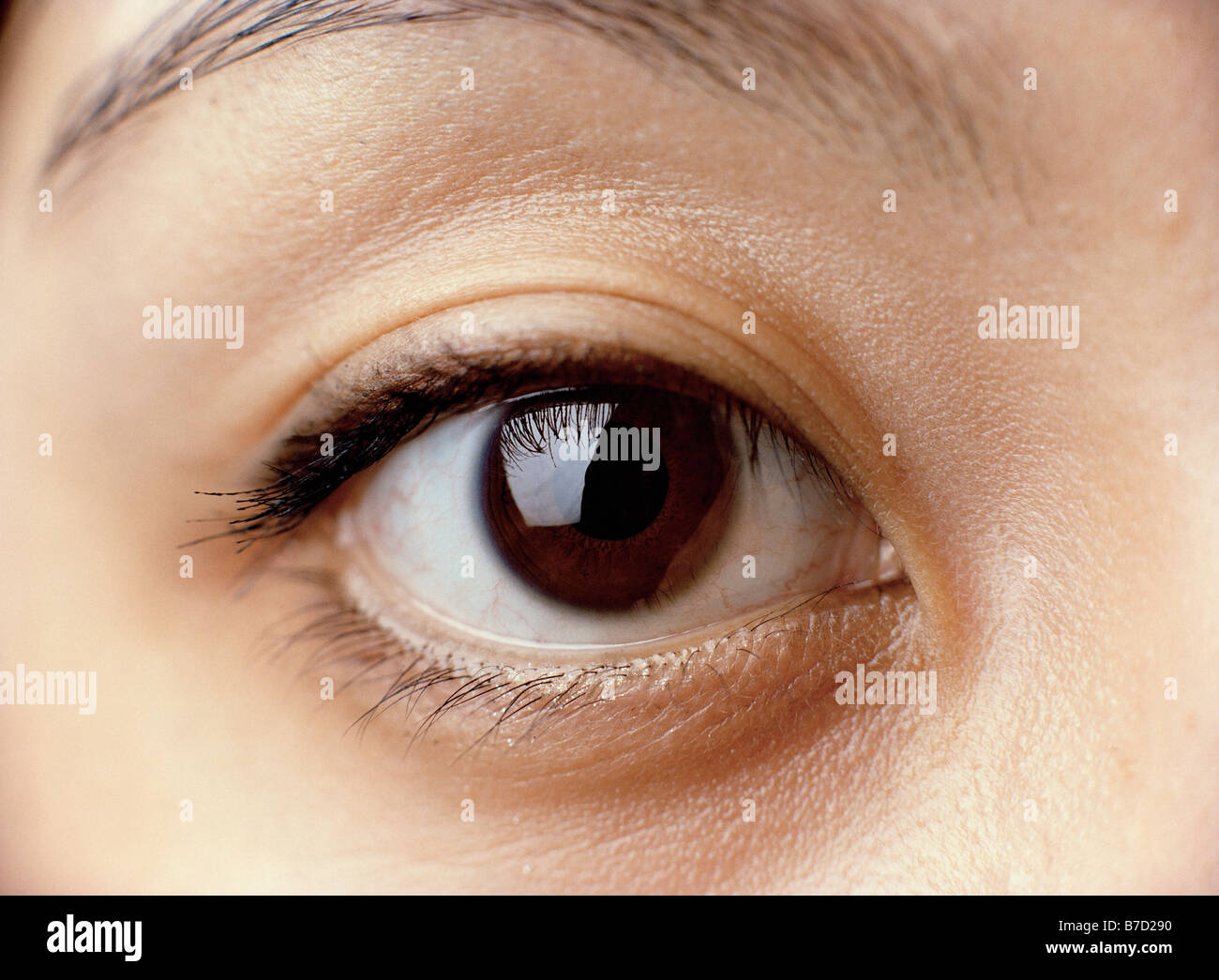 Cerca de un ojo de mujer Foto de stock