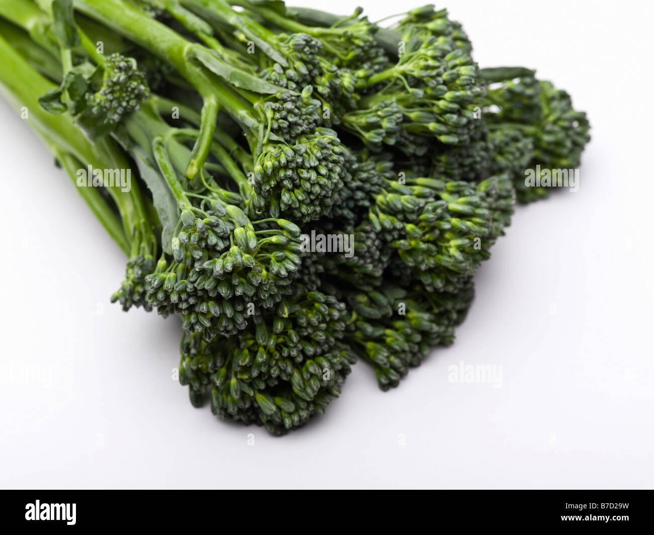 Broccolini Foto de stock