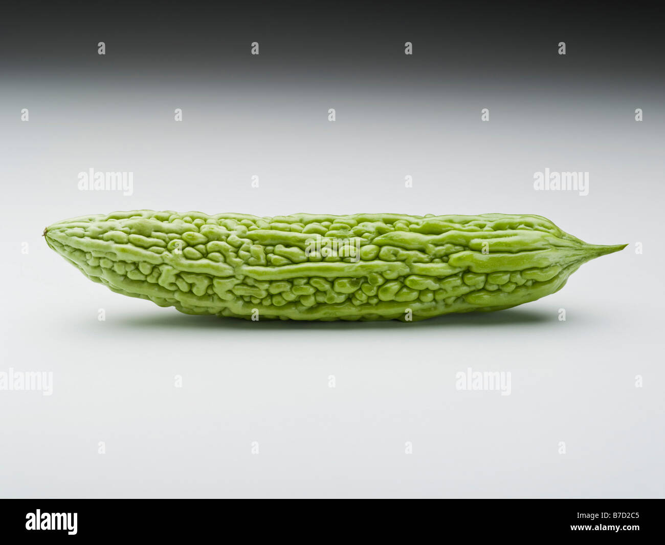 Pepino amargo chino fotografías e imágenes de alta resolución Alamy