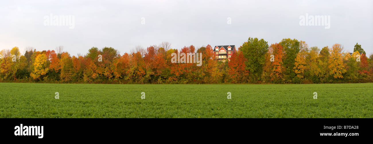 Seis de octubre fotografías e imágenes de alta resolución Alamy