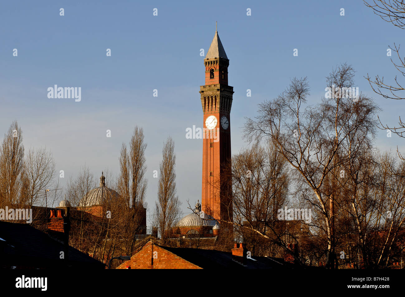 Joseph Chamberlain Memorial Torre del Reloj, la Universidad de Birmingham, West Midlands, Inglaterra, Reino Unido. Foto de stock