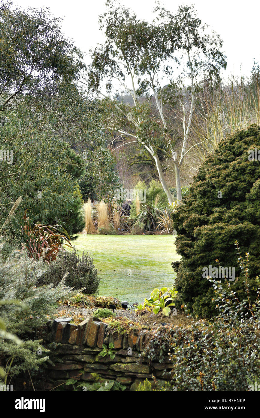 El RHS Garden Rosemoor PLANTSMANS EN DEVON EN ENERO Foto de stock