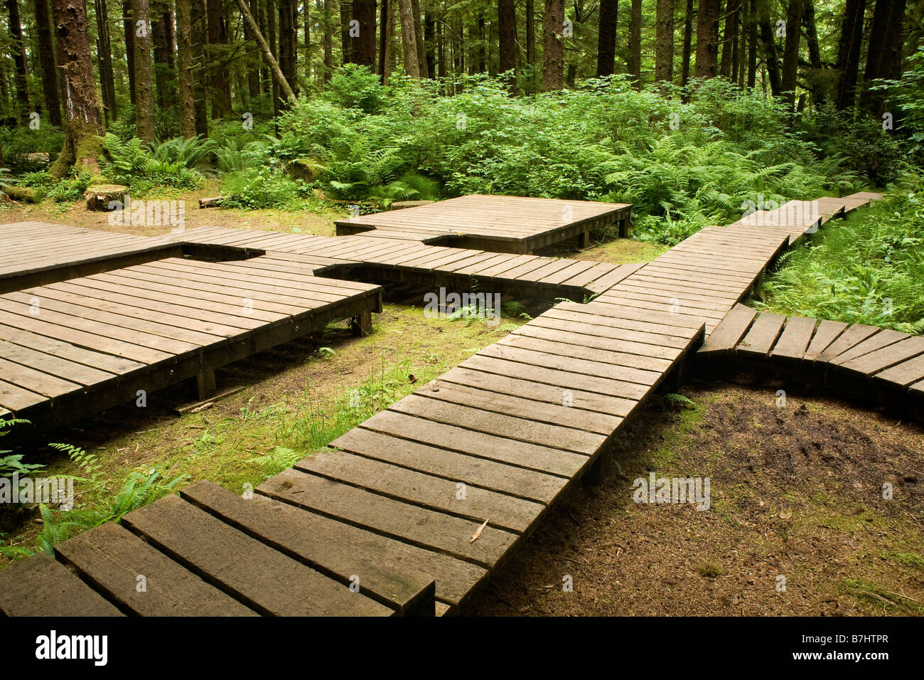 COLUMBIA BRITÁNICA - Boardwalk complejo a Eric Lago área de camping en la costa norte Trail en Cabo Scott Provincial Park. Foto de stock