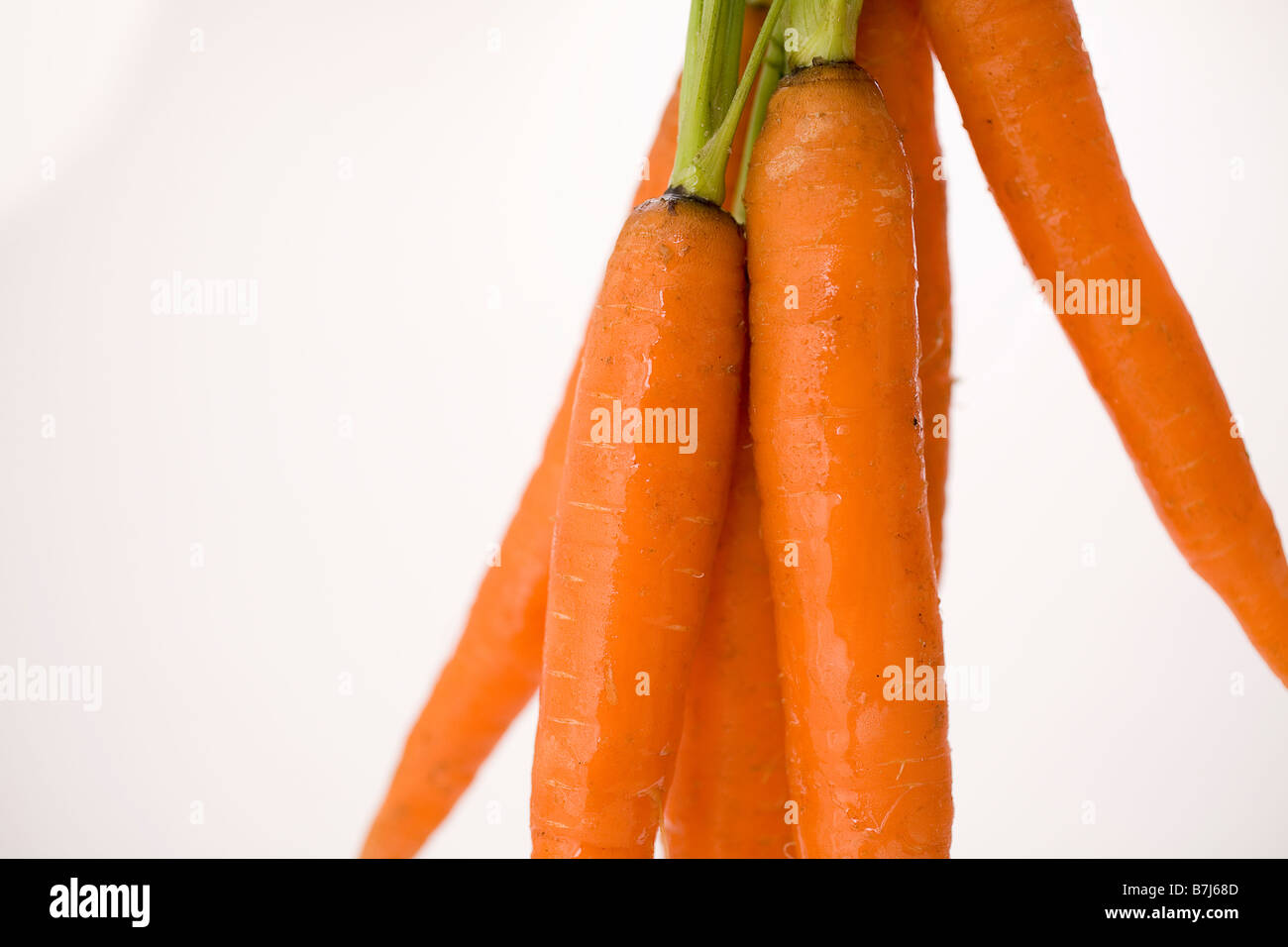 Montón de zanahorias colgando verticalmente Foto de stock
