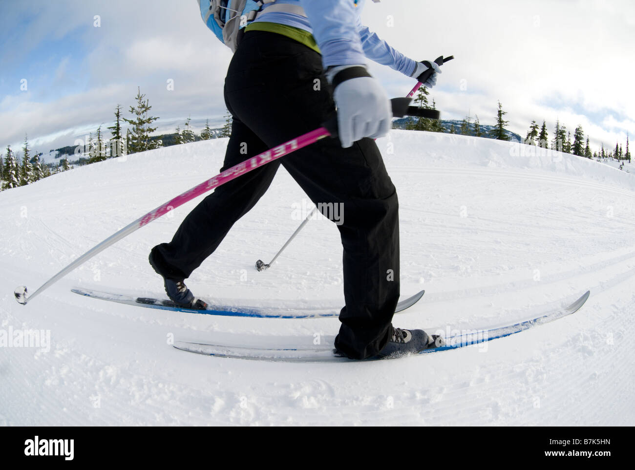 Una mujer esquí cross-country, cerca del Parque Provincial Strathcona Courtenay, BC, Canadá Foto de stock