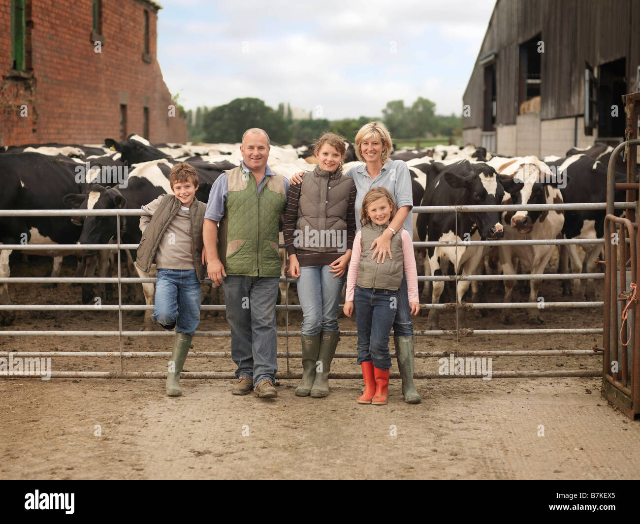 Agricultor y familia con vacas Foto de stock