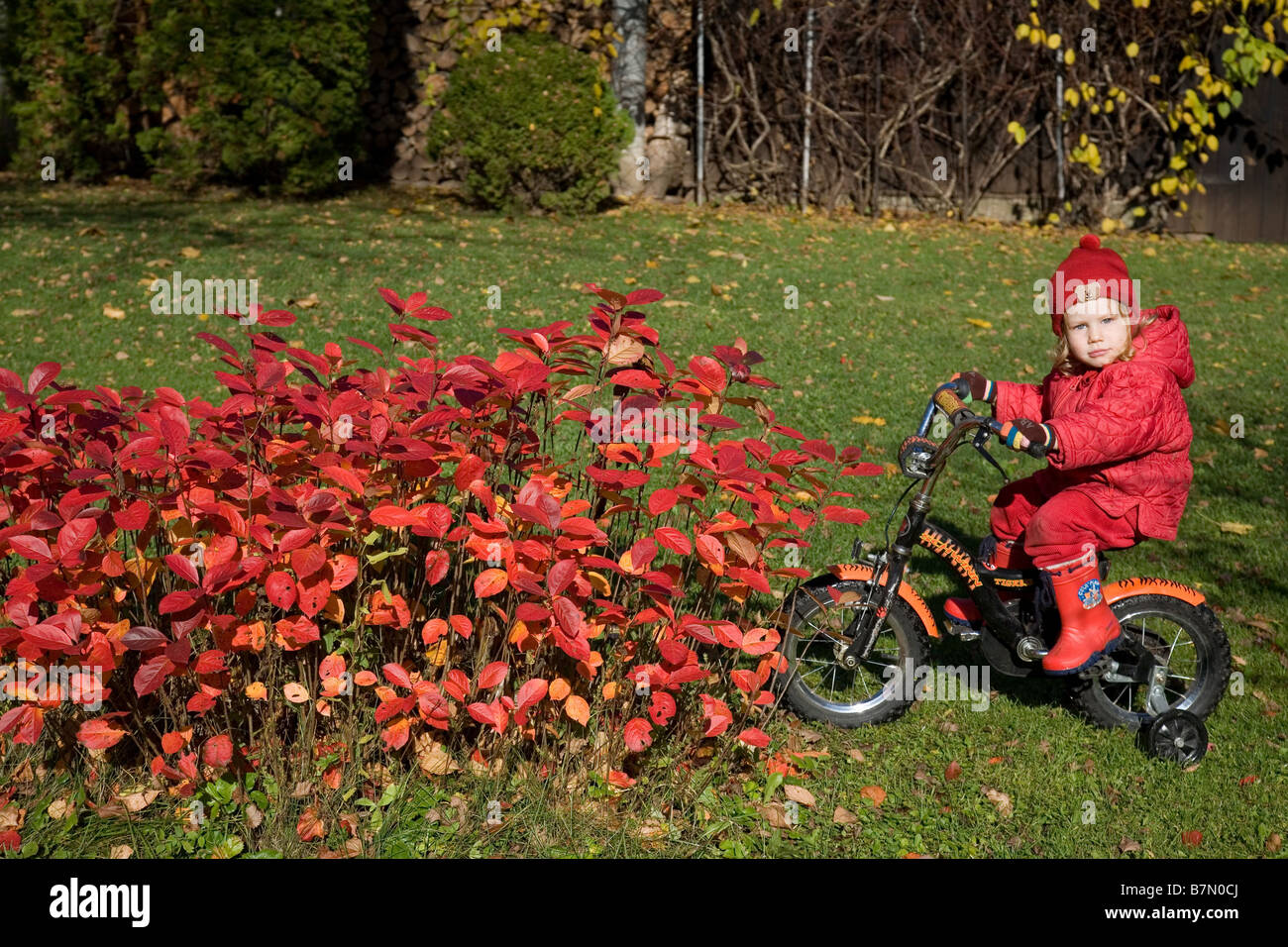 Dos años chica con bicicleta Foto de stock