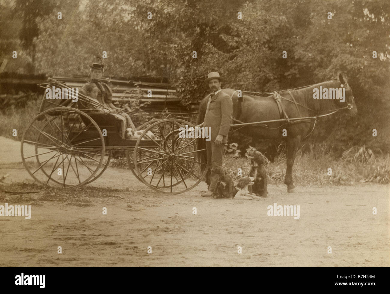 Circa 1900 Fotografía de una familia en un país paseo con sus caballos y carros y perros. Fuente: impresión fotográfica original. Foto de stock